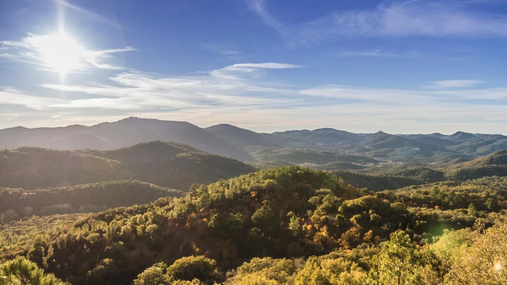 Pozuelo 3 Jabugo Guest House Country house